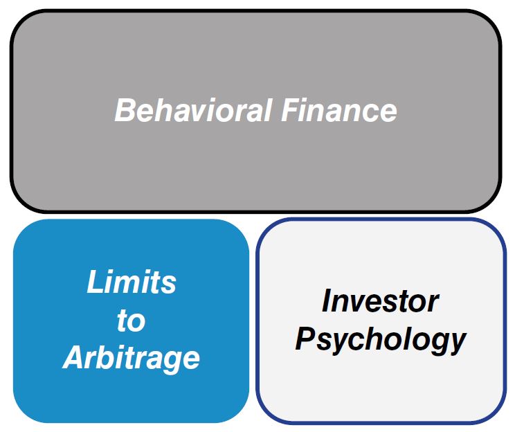 two-pillars-of-behavioural-finance